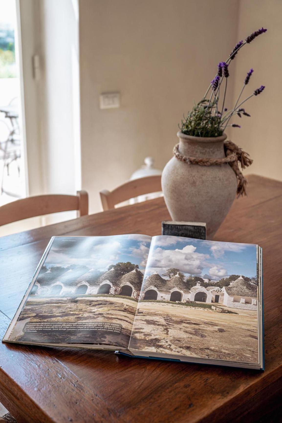 Masseria Pavone 马丁纳弗兰卡 外观 照片