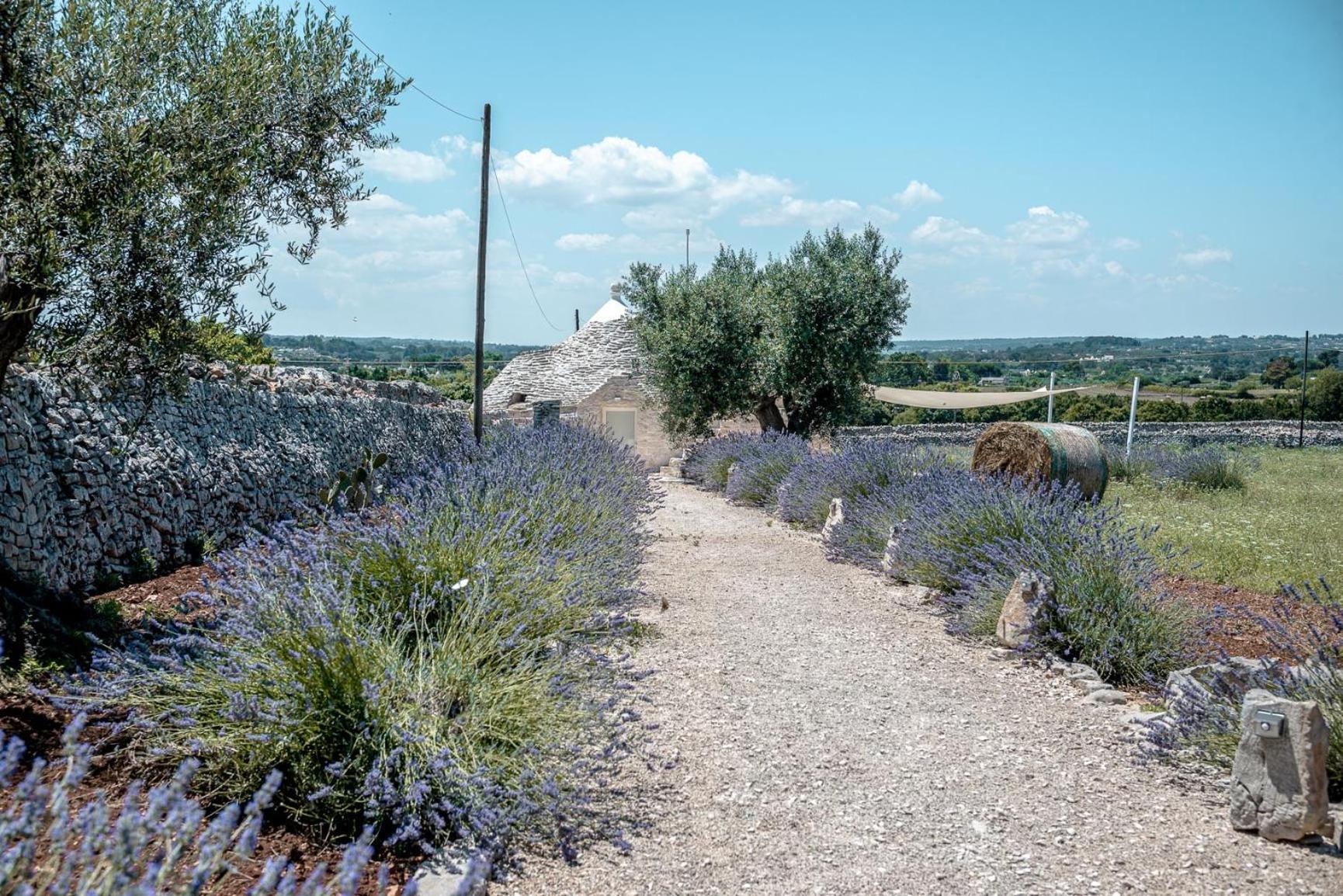 Masseria Pavone 马丁纳弗兰卡 外观 照片