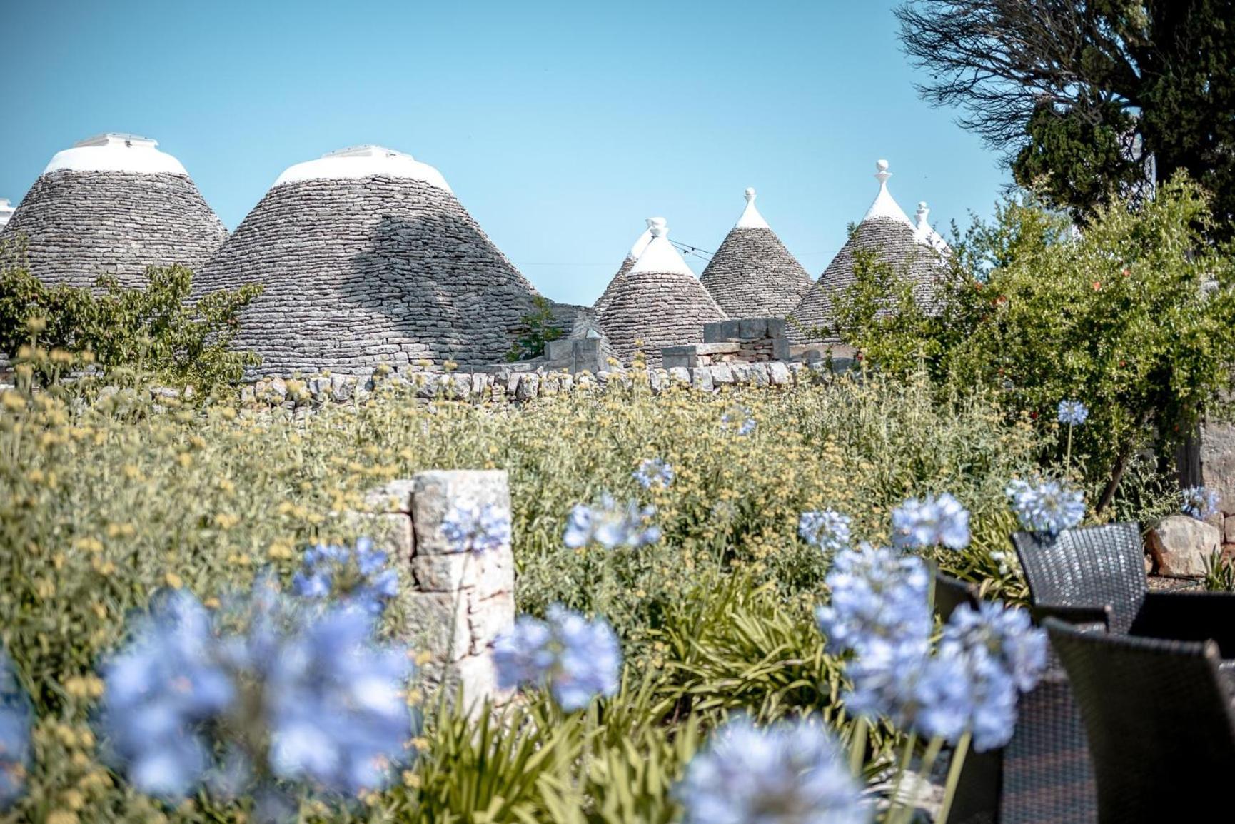 Masseria Pavone 马丁纳弗兰卡 外观 照片