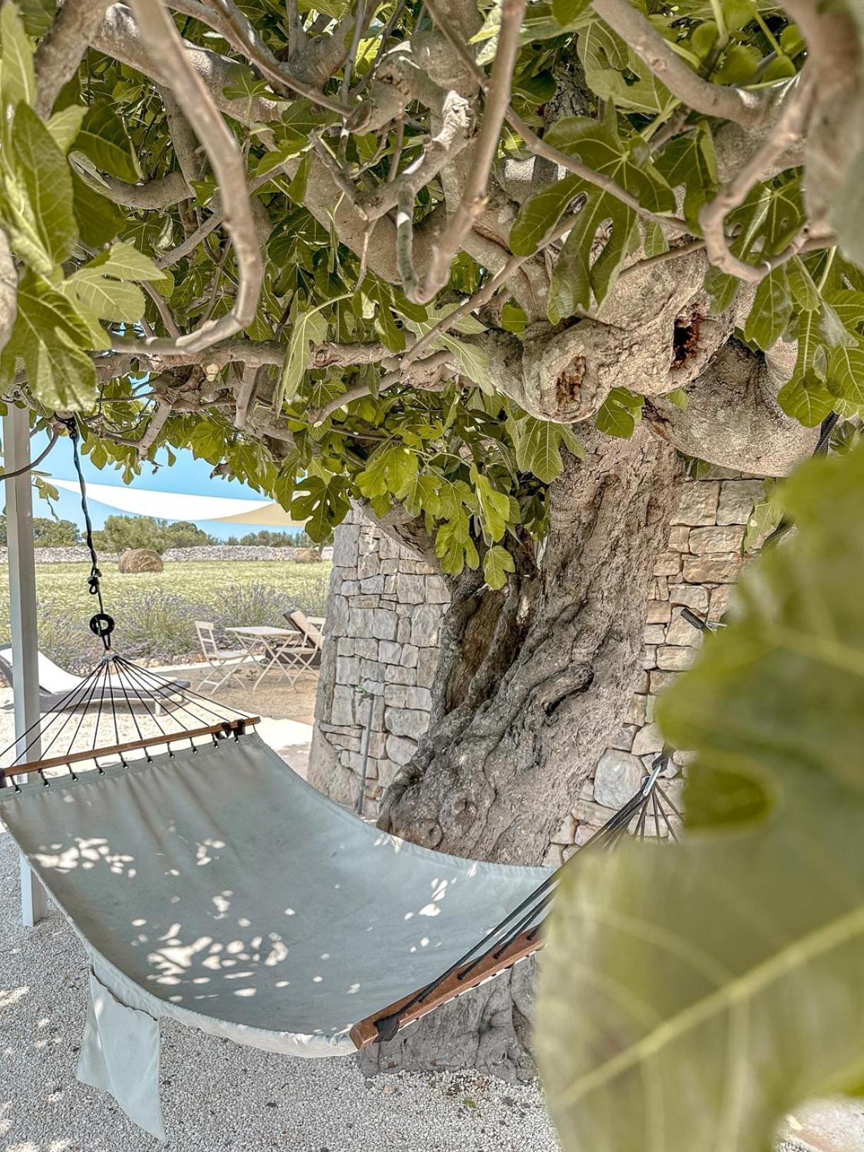 Masseria Pavone 马丁纳弗兰卡 外观 照片